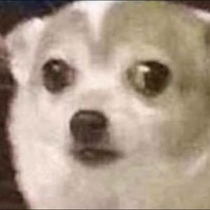 Meet your Posher, Gareth